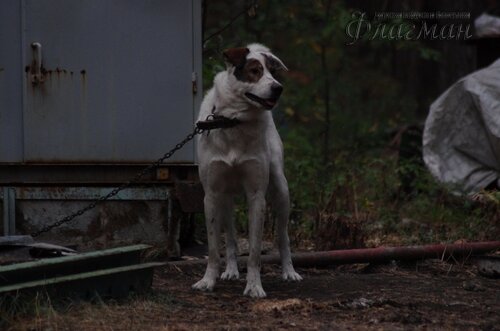 IMGP1138_r